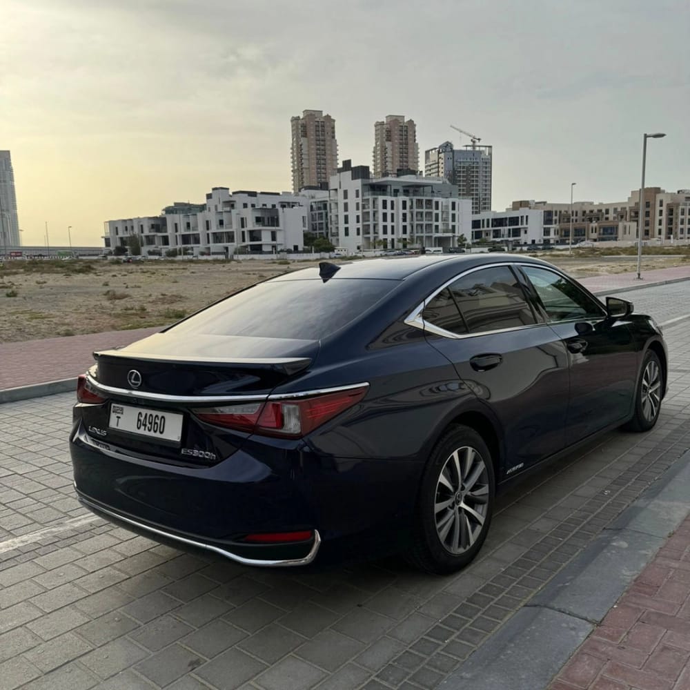 Lexus_ES-300-Hybrid_2020_28923_28923_2259298915-7_small