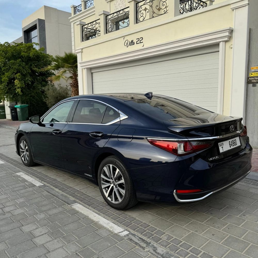 Lexus_ES-300-Hybrid_2020_28923_28923_22592992977-7_small