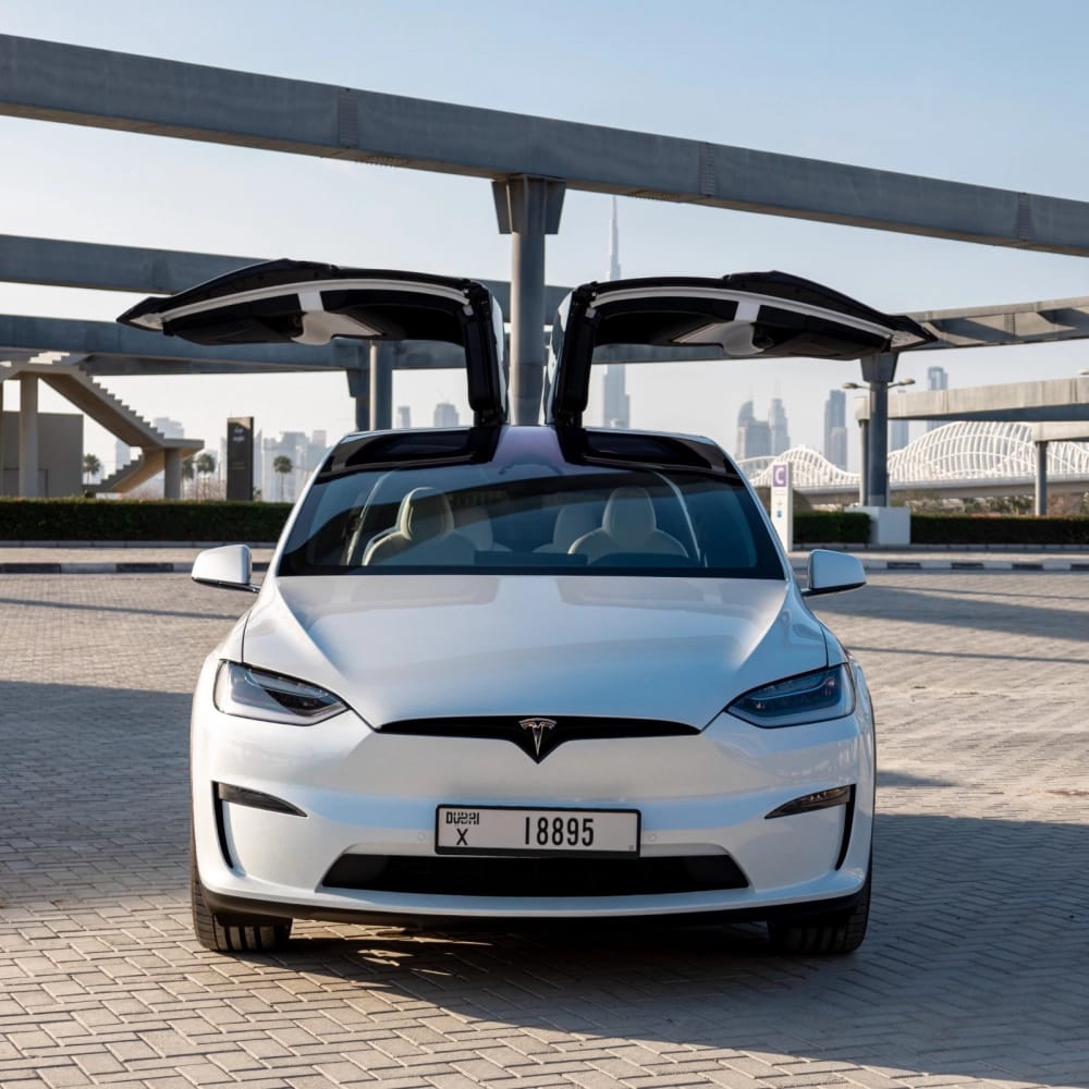 Tesla_Model-X-Plaid_2023_18916_18916_11906441743-14_small